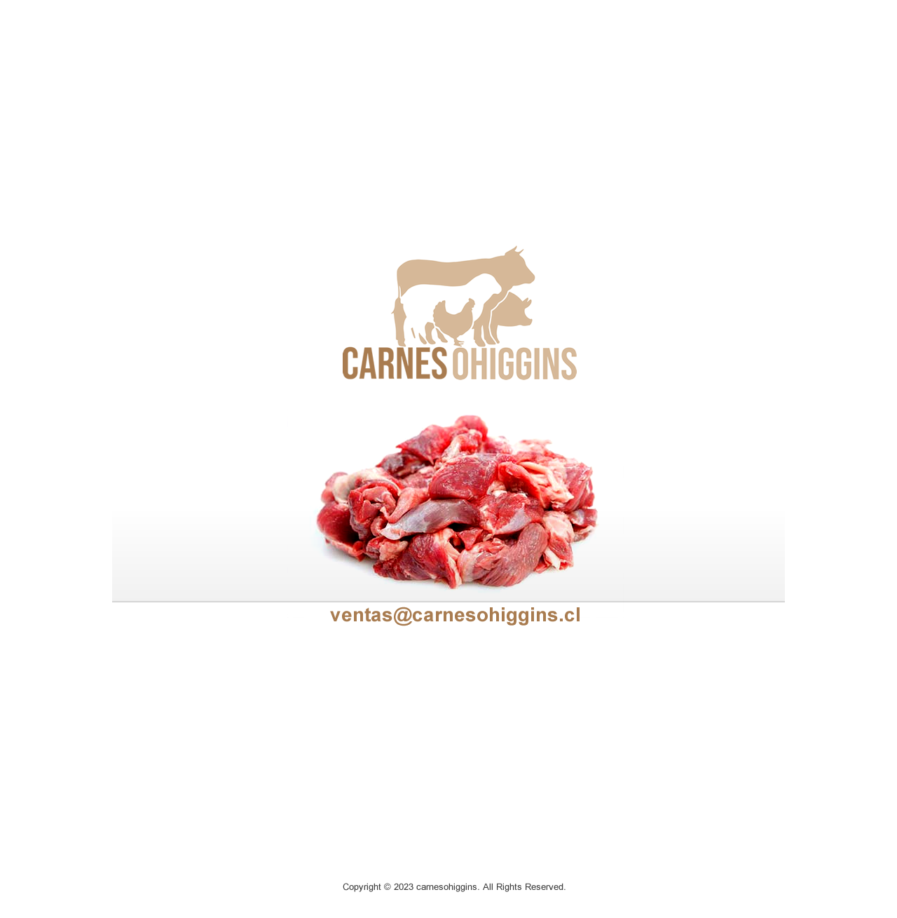 Bodega Carnes O'Higgins